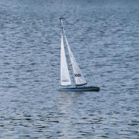 Sea Cret